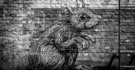 EtherRAT چیست