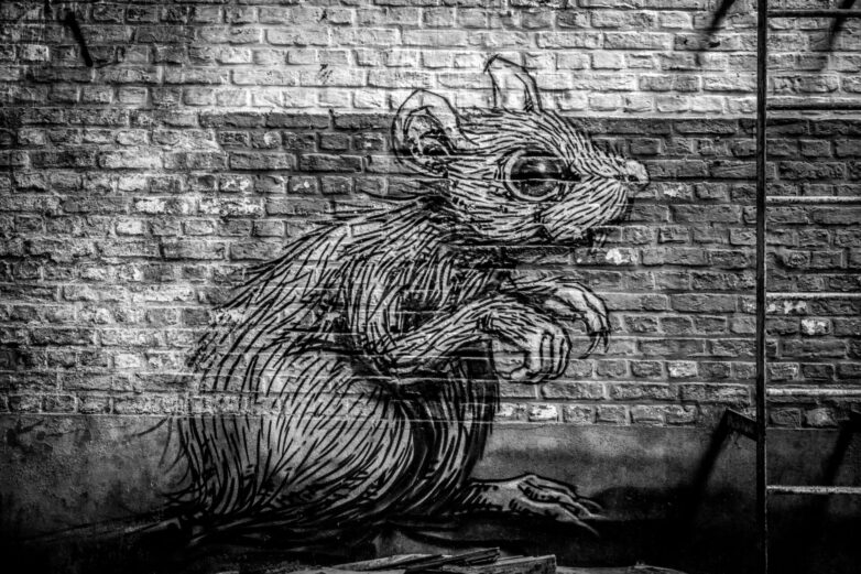 EtherRAT چیست